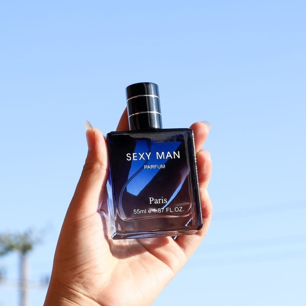 Profumo da uomo legnoso e mari - Perfume The Fragrance recensione e prezzo