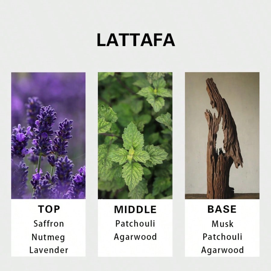 Lattafa Badee Al Oud For Glory - Perfume The Fragrance recensione e prezzo